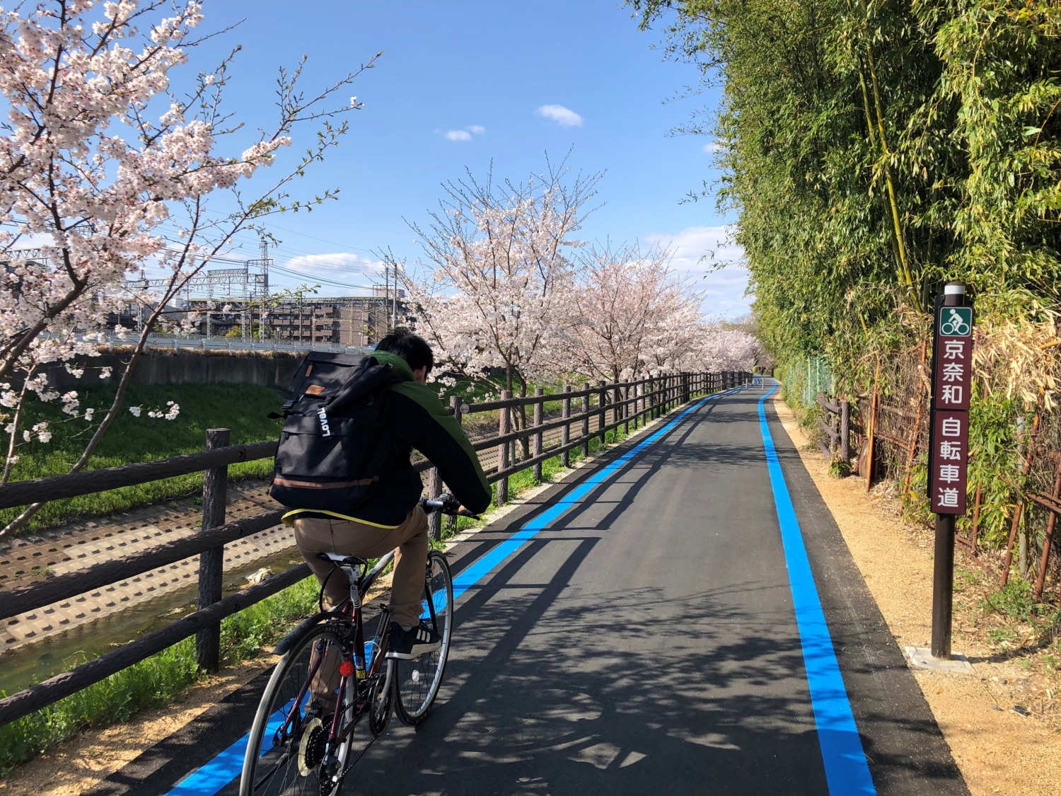 和歌山 自転車 コース